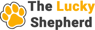 Australian Shepherd - Logo The Lucky Shepherd